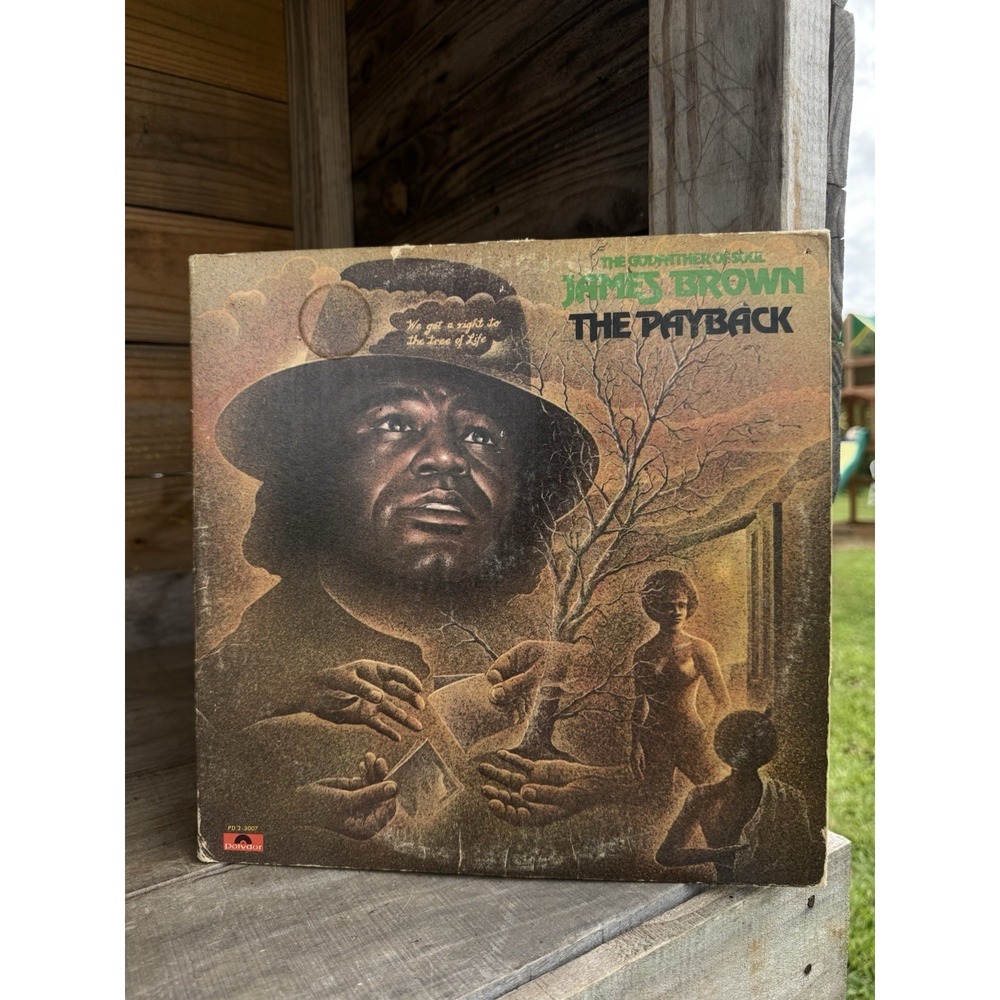 James Brown The Payback LP Vinyl Soul Funk Rare Groove Missing Record 1 Only 1/2